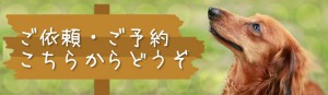 ご依頼・ご予約はこちらからどうぞ2