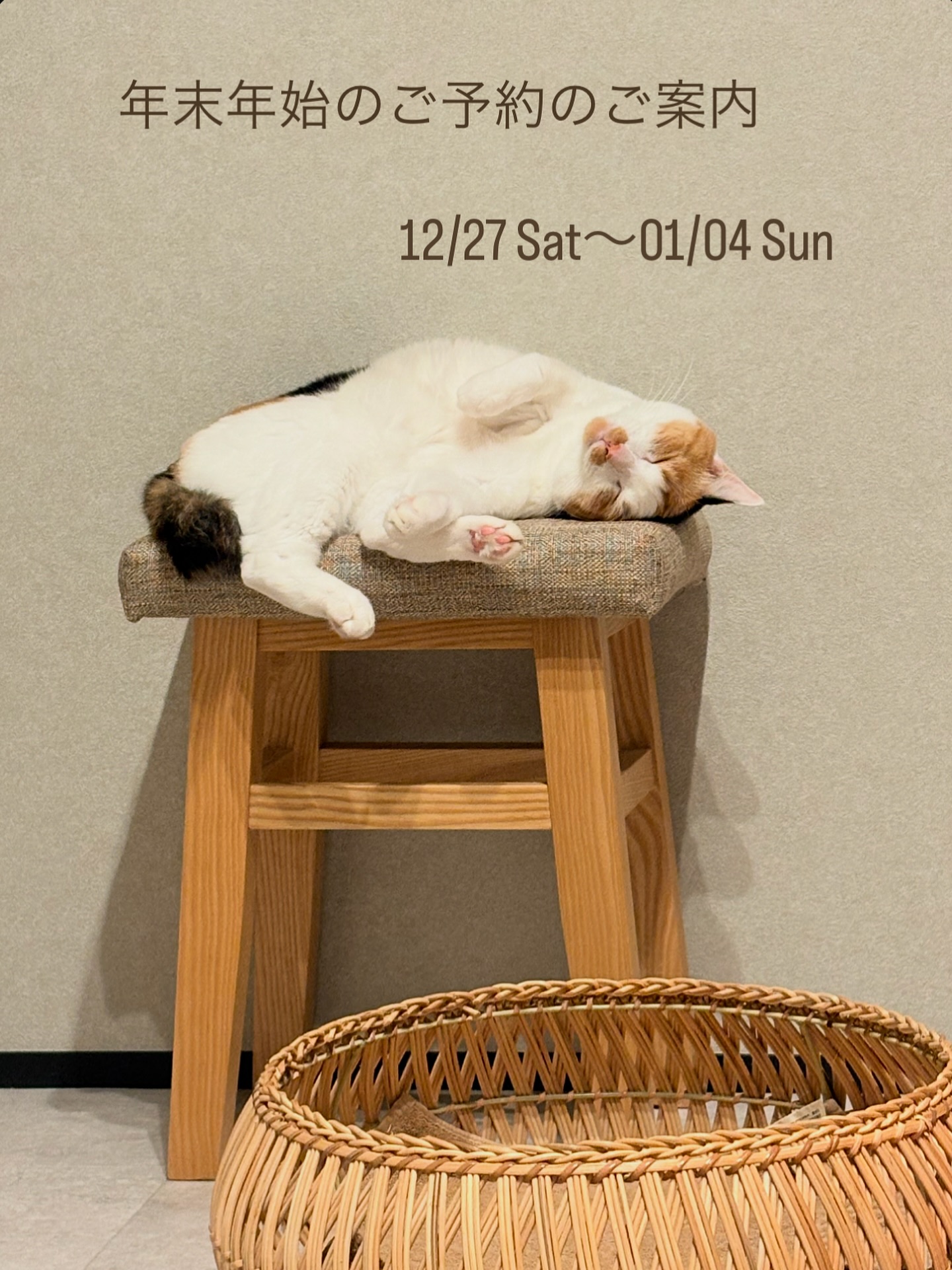 いつもご愛顧いただき、誠にありがとうございます🐈🐈‍年末年始のご予約受付を開始いたしましたので、お知らせさせていただきます対象期間：12月27日(土)〜1月4日(日)特別期間割増：1回につき 500円また、人手不足のため期間中は新規ご利用の受付をストップさせていただきます‍♀️例年よりも早めに受付終了となる見込みですので、お出かけのご予定がございましたらどうぞお早めにお知らせくださいませ皆さまからのご依頼を、心よりお待ちしております#Tokyoペットシッター#キャットシッター#ペットシッター #ねこすたぐらむ #猫 #ねこ #ねこ部 #猫好きさんと繋がりたい#文京区#台東区#荒川区#豊島区