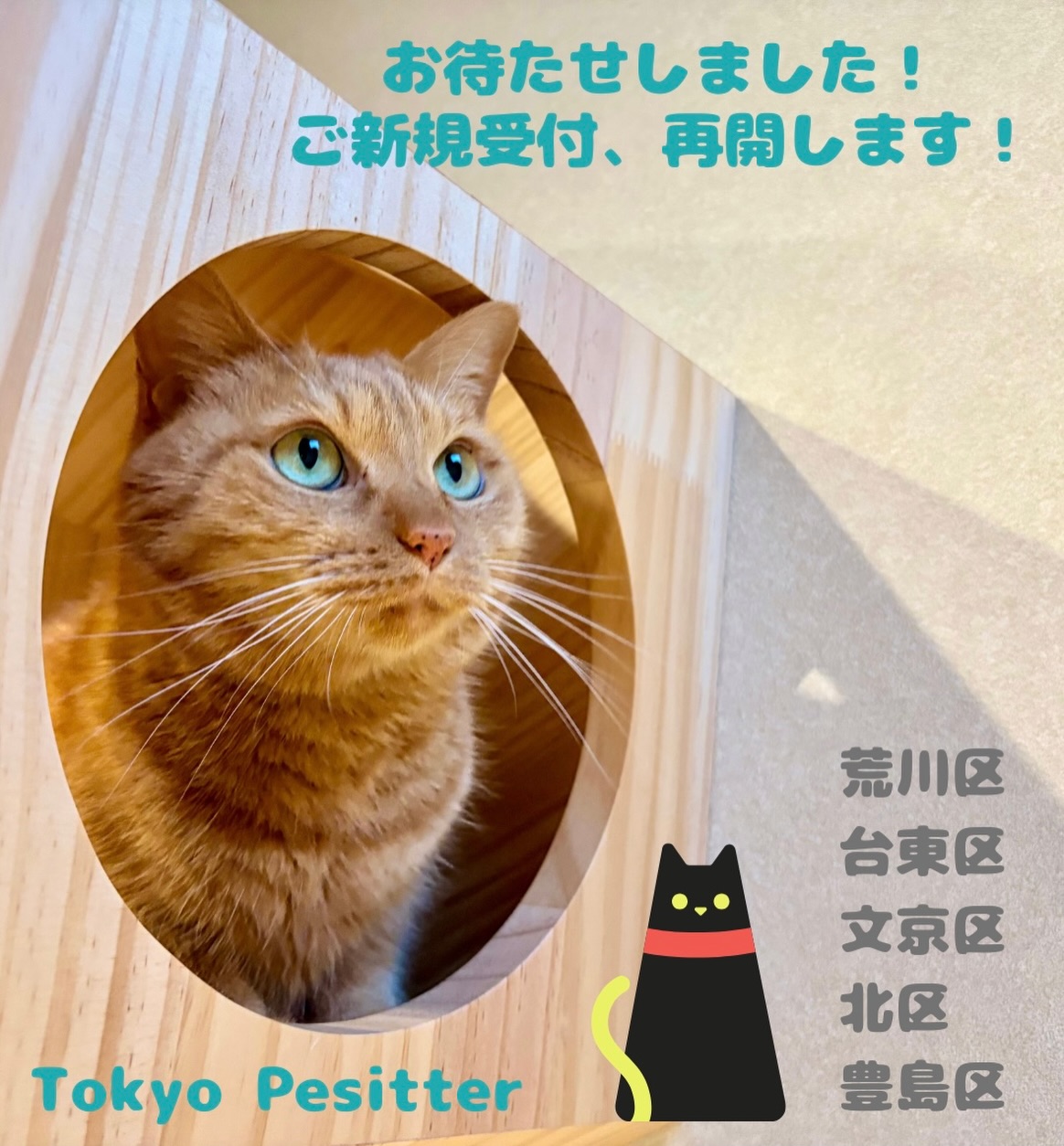 昨年秋より人手不足により、一部のエリアにてご新規の受付をストップさせていただいておりましたが、体制が整いましたので受付の再開をさせていただきますスタッフの増員と研修が進み、ようやく安心してお世話をお任せいただける体制が整いました。当店のスタッフは、全員が「猫バカ」です🐈🐈‍たまに全員で集まると永遠に猫の話しかしていませんが、より質の高いサービスをご提供できるよう、スタッフ一人ひとりが真剣に考え、日々取り組んでくれています。猫さんにとっても飼い主さまにとっても、「いつもの安心」を大切にしたサービスを続けていきたいと考えています。新規受付 再開エリア【文京区】大塚5〜6丁目【豊島区】西巣鴨【北区】十条／東十条／王子／滝野川※上記エリア内でも、ご希望日時や場所によってはご案内が難しい場合がございます。まずはお気軽にお問い合わせください。今後も、猫と飼い主さまどちらにも寄り添ったサービスをお届けしてまいります️どうぞよろしくお願いいたします！Tokyoペットシッター代表　大谷仁美#Tokyoペットシッター#キャットシッター#ペットシッター #ねこすたぐらむ #猫 ねこ ねこ部 猫好きさんと繋がりたい