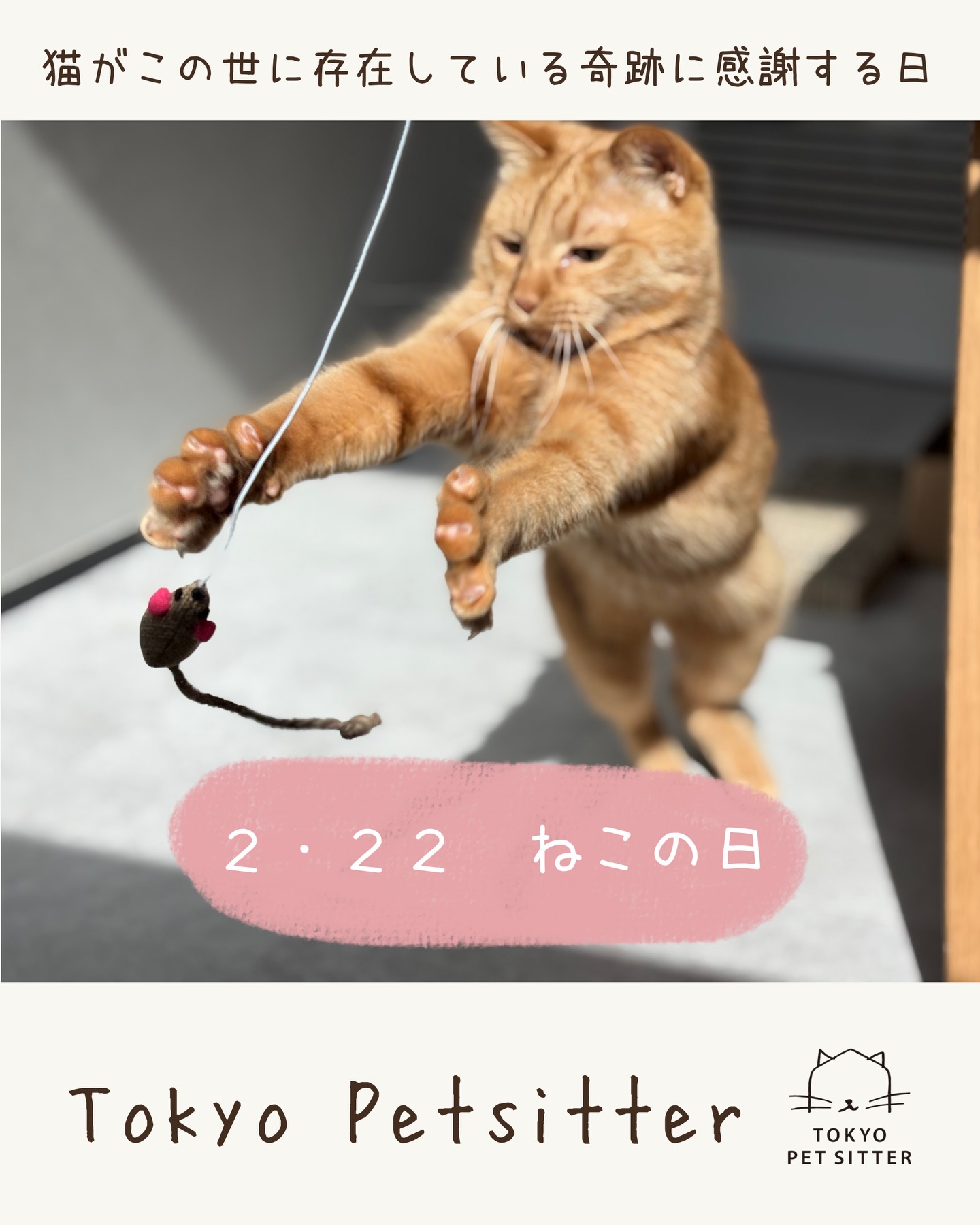 今日は「ねこの日」！ ねこさんたち、いつもありがとう️ わたしたちは、きみたちが居てくれるだけで しあわせになれるんだよ。  世界中のすべてのねこに 穏やかな時間が流れますように。#猫の日 #Tokyoペットシッター#キャットシッター#ペットシッター #ねこすたぐらむ