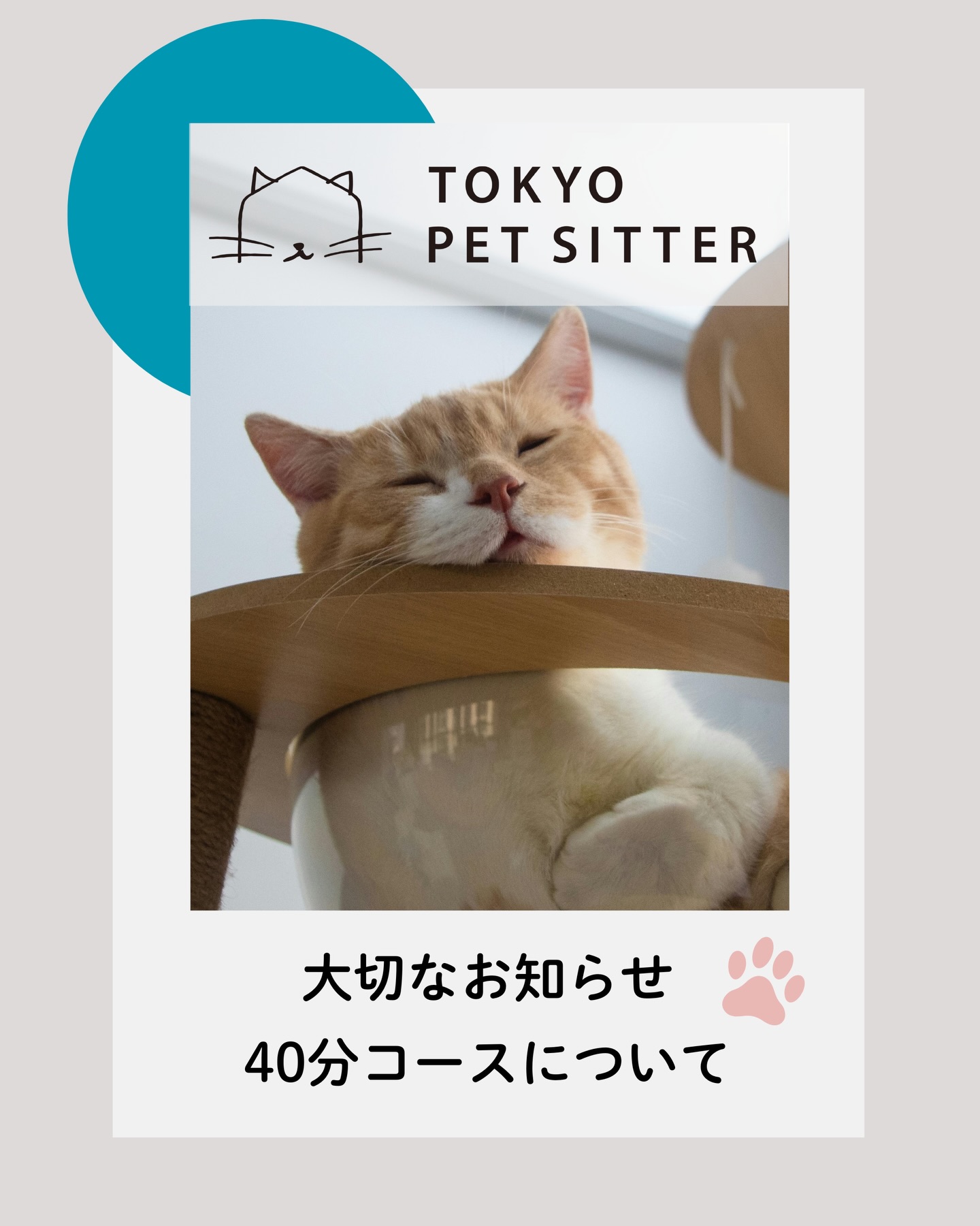 いつもTokyoペットシッターをご利用いただき、誠にありがとうございます。本日は、40分（ショートコース）のレポートに関する大切なお知らせです‍♀️当店では60分コースをスタンダードとし、より気軽にご利用いただけるコースとして40分のショートコースをご用意しております。これまで、担当するスタッフによってレポートのボリュームにバラつきがありましたが、今後は猫さんとの触れ合いの時間を最優先とするため、40分コースのレポートを簡略化した内容に統一させていただきます。限られた40分というお時間の中で、レポート作成にかける時間をできるだけ猫さんと向き合う時間に充てたい。「文字量」よりも「目の前の猫さんに寄り添うこと」を最優先にしたい。そのような想いからの見直しです。お出かけ先でも飼い主さまにご安心していただけるよう、️短い中でも情景が思い浮かぶご報告️猫さんの様子が伝わるお写真や動画に力を入れてまいります。しっかりと詳細な文章でのご報告をご希望の場合は、ぜひ60分のスタンダードコースをご利用くださいませ。60分コースでは、猫さんとの触れ合いのお時間を更に増やすことができます スタッフ一同、これまで以上に心を込めて猫さんのお留守番をサポートさせていただきます。今後ともTokyoペットシッターをどうぞよろしくお願いいたします。  Tokyoペットシッター代表　大谷仁美#Tokyoペットシッター#キャットシッター#ペットシッター #猫のお留守番#豊島区